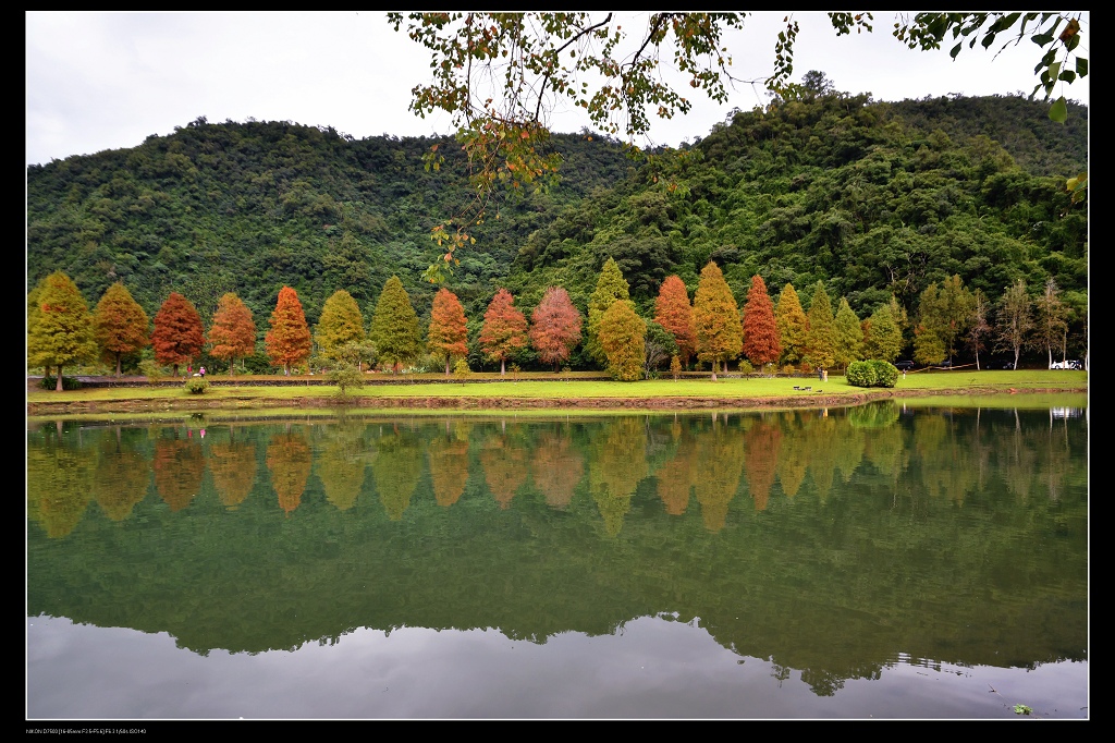 蜊埤湖5.jpg