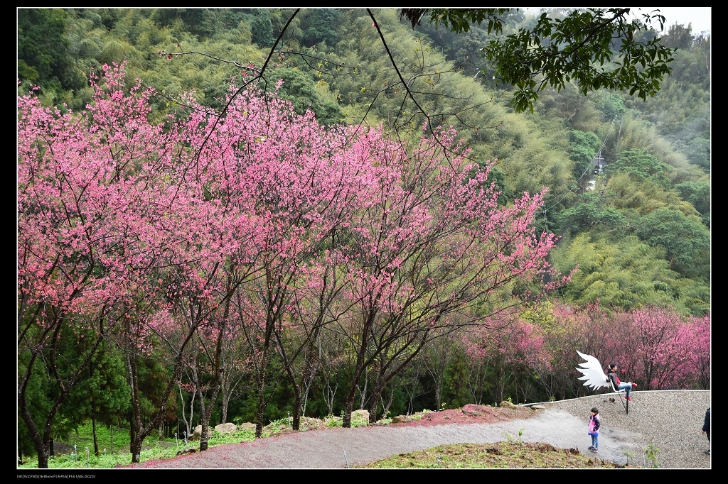 翠墨莊園天使椅1.jpg