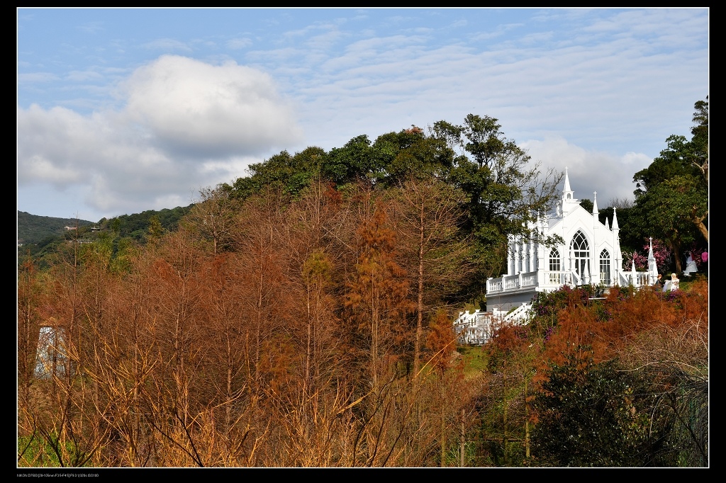 真愛桃花源.jpg 真愛桃花源.jpg