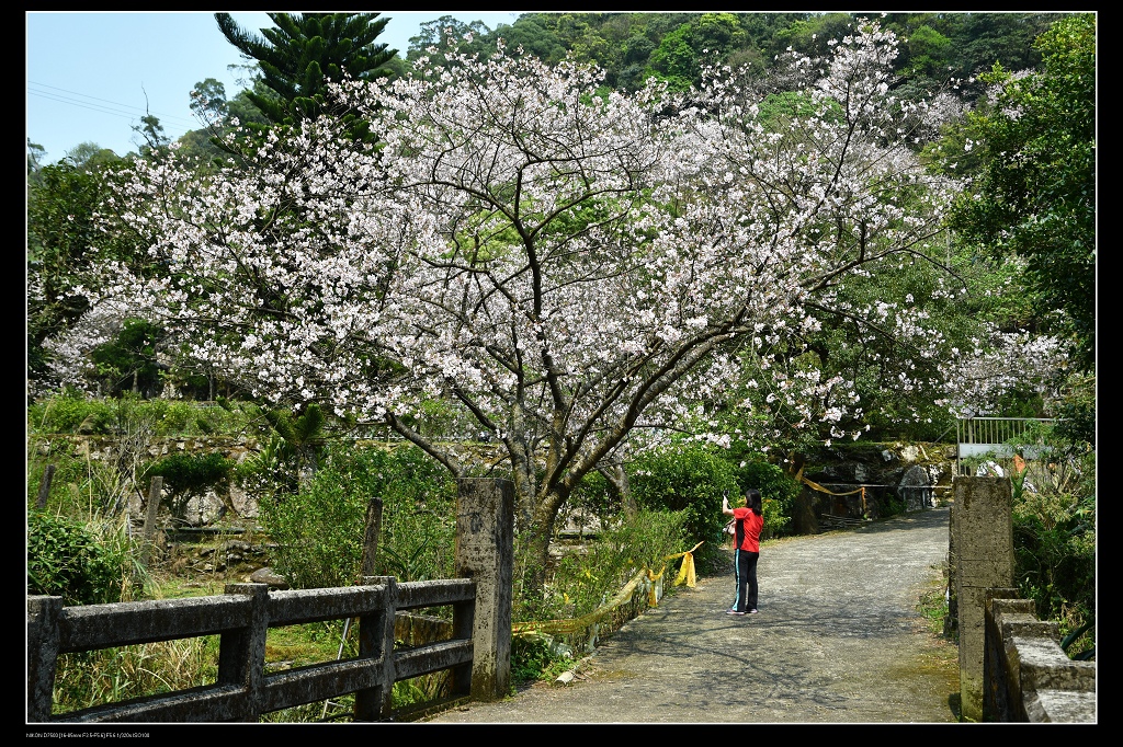 水泥橋.jpg