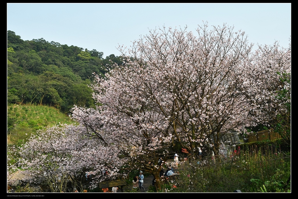 橘咖啡內部.jpg