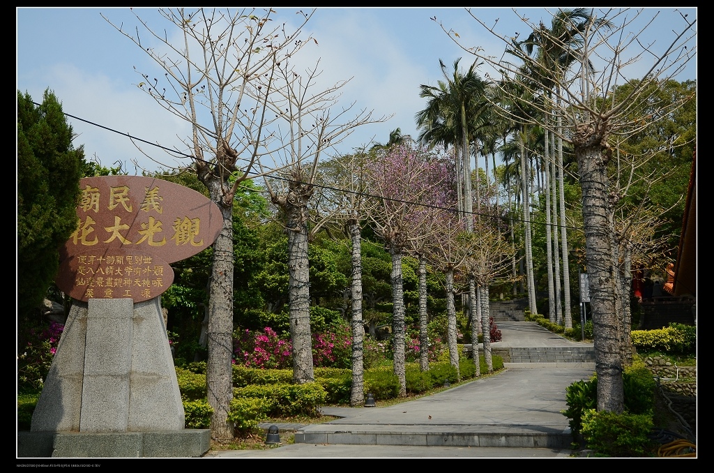 觀光大花園.jpg