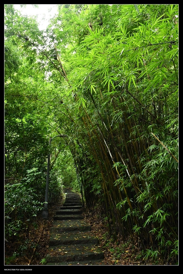 梅湖步道.jpg