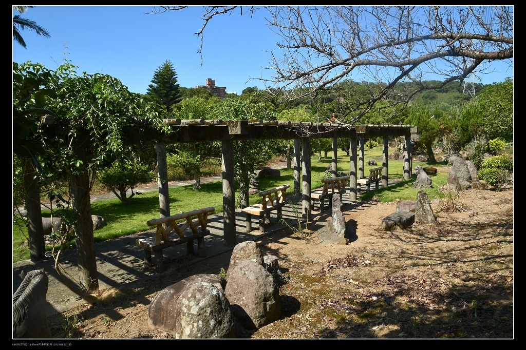 21花棚.jpg 21花棚.jpg