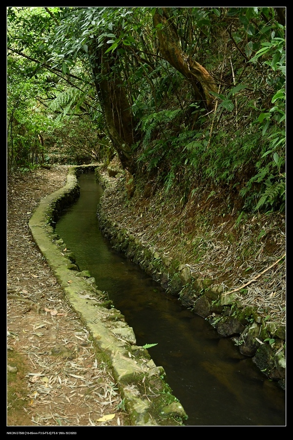 20坪頂新圳.jpg