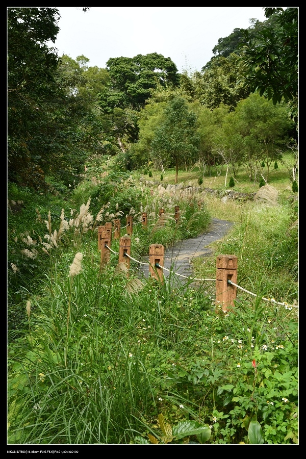 芒花步道.jpg