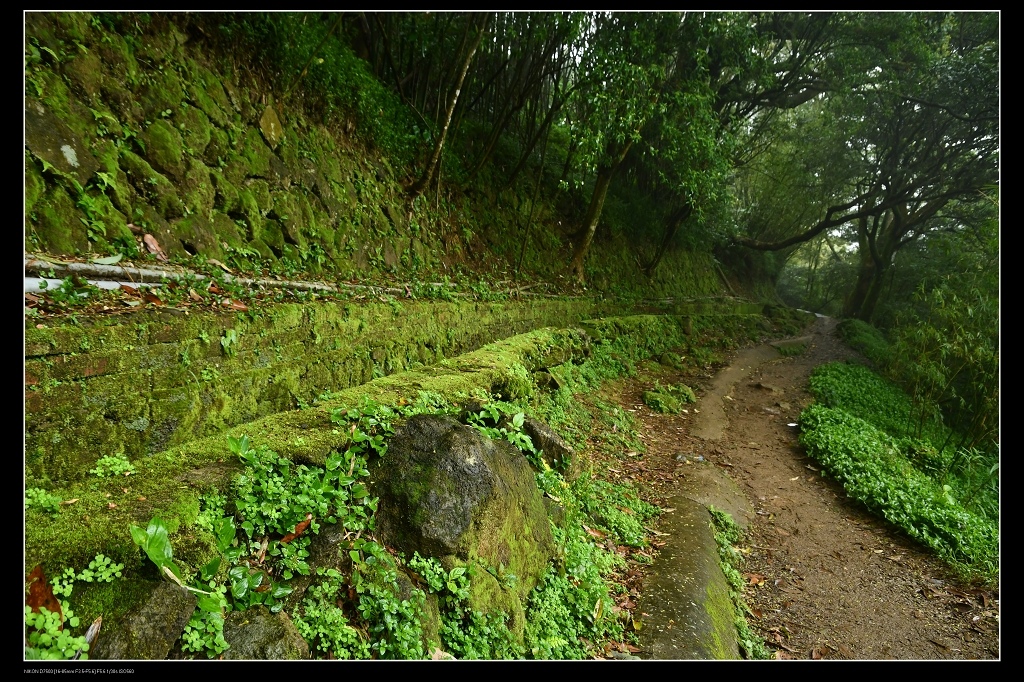 1山豬湖水圳1.jpg