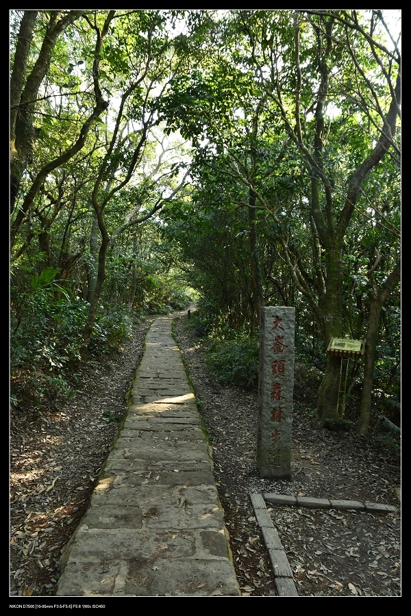 17大崙頭森林步道.jpg