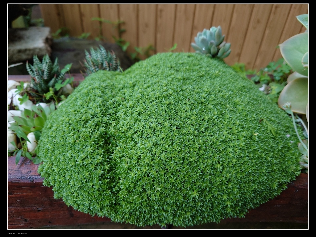 9小山.jpg 9小山.jpg