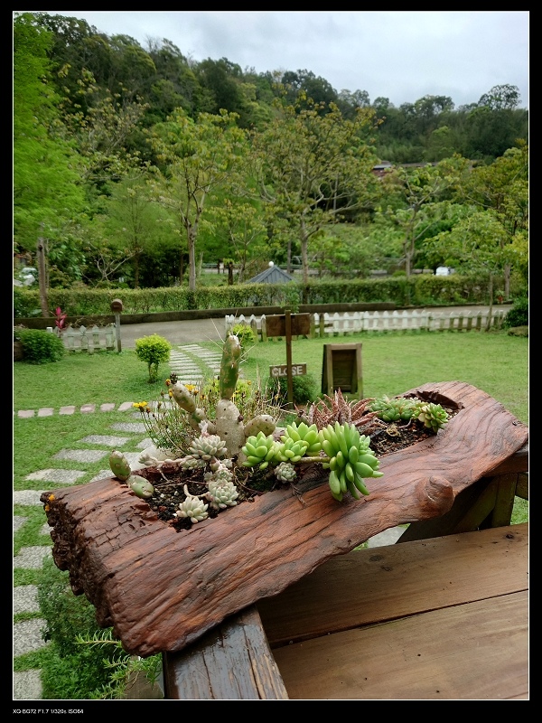 8木盆.jpg 8木盆.jpg