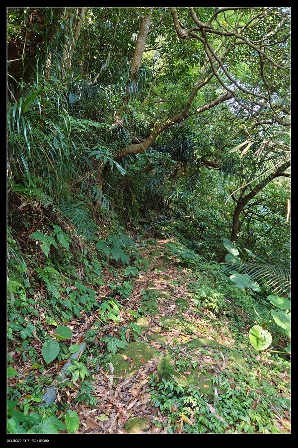 5入口.jpg 5入口.jpg