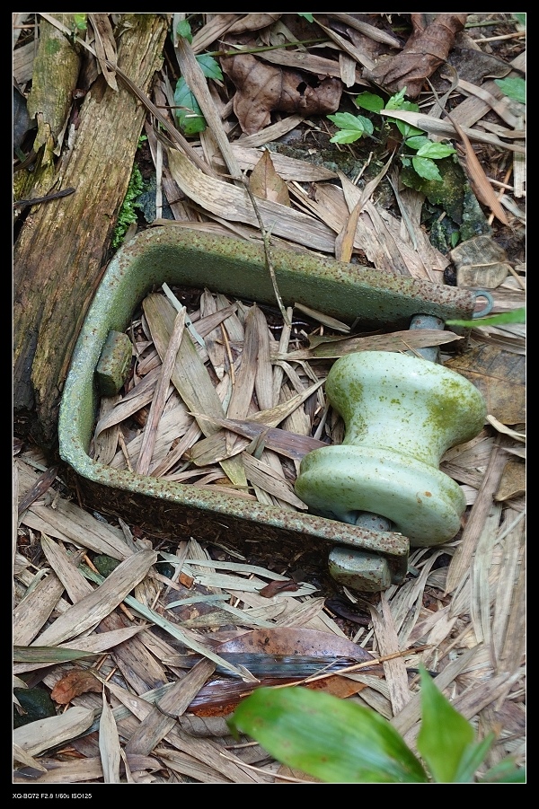 12礙子.jpg 12礙子.jpg