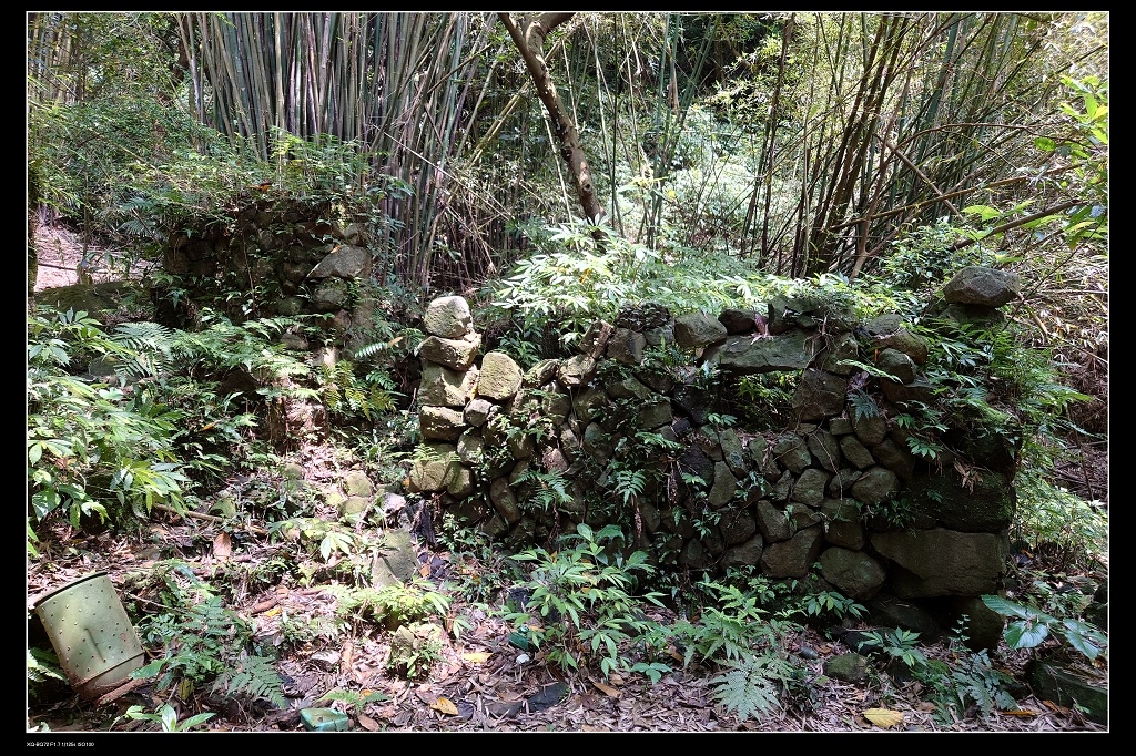 11民宅.jpg 11民宅.jpg