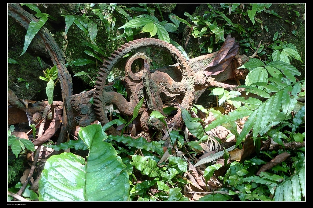 13齒輪.jpg 13齒輪.jpg