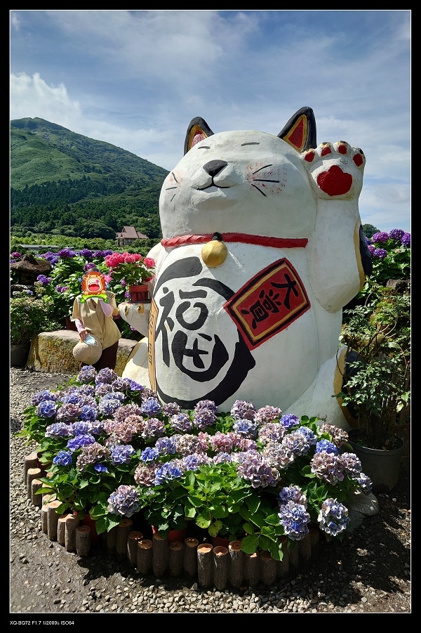 4招財貓.jpg 4招財貓.jpg