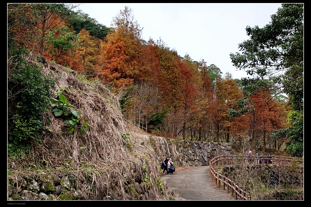 道路.jpg