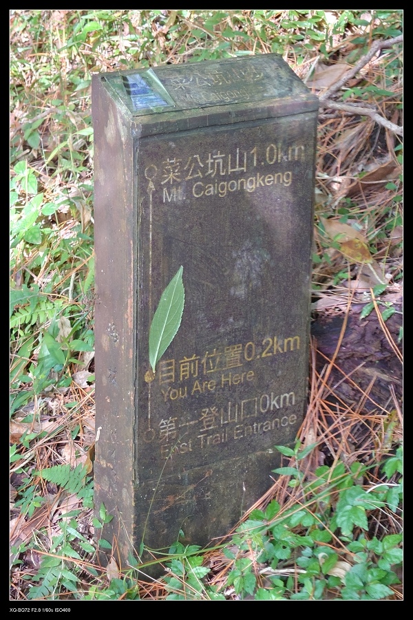 5路標.jpg 5路標.jpg