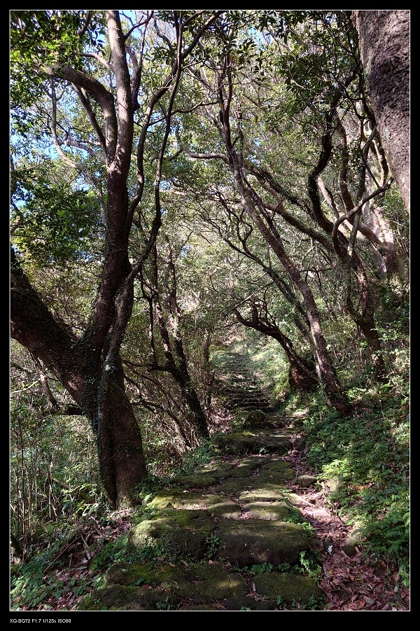 6步道.jpg 6步道.jpg