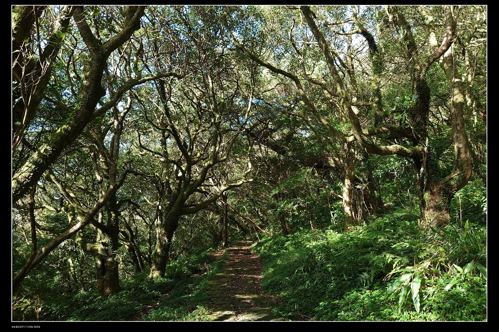 4菜公坑山.jpg 4菜公坑山.jpg