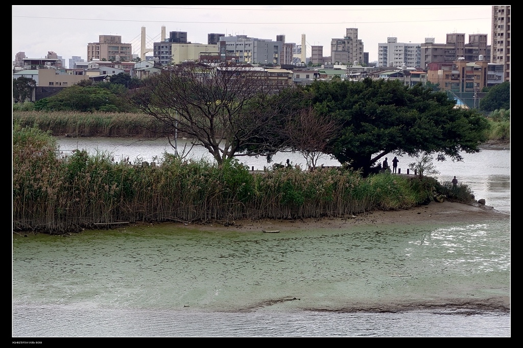 17川藤島.jpg