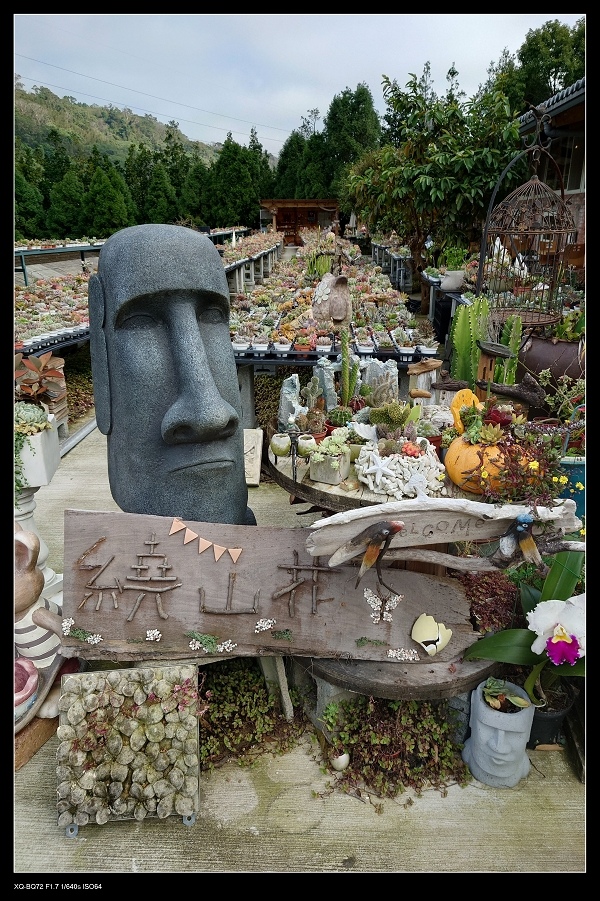 1繞山花.jpg 1繞山花.jpg