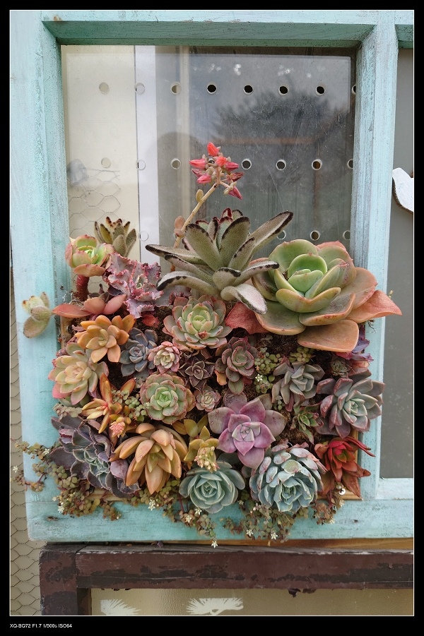 7窗框.jpg 7窗框.jpg