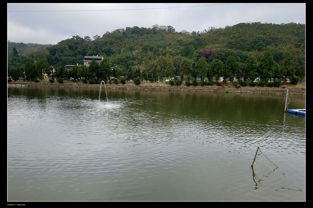 8水池.jpg 8水池.jpg