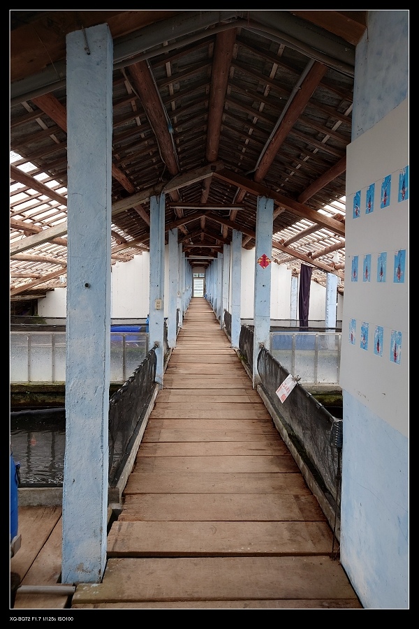 9錦鯉園1.jpg 9錦鯉園1.jpg