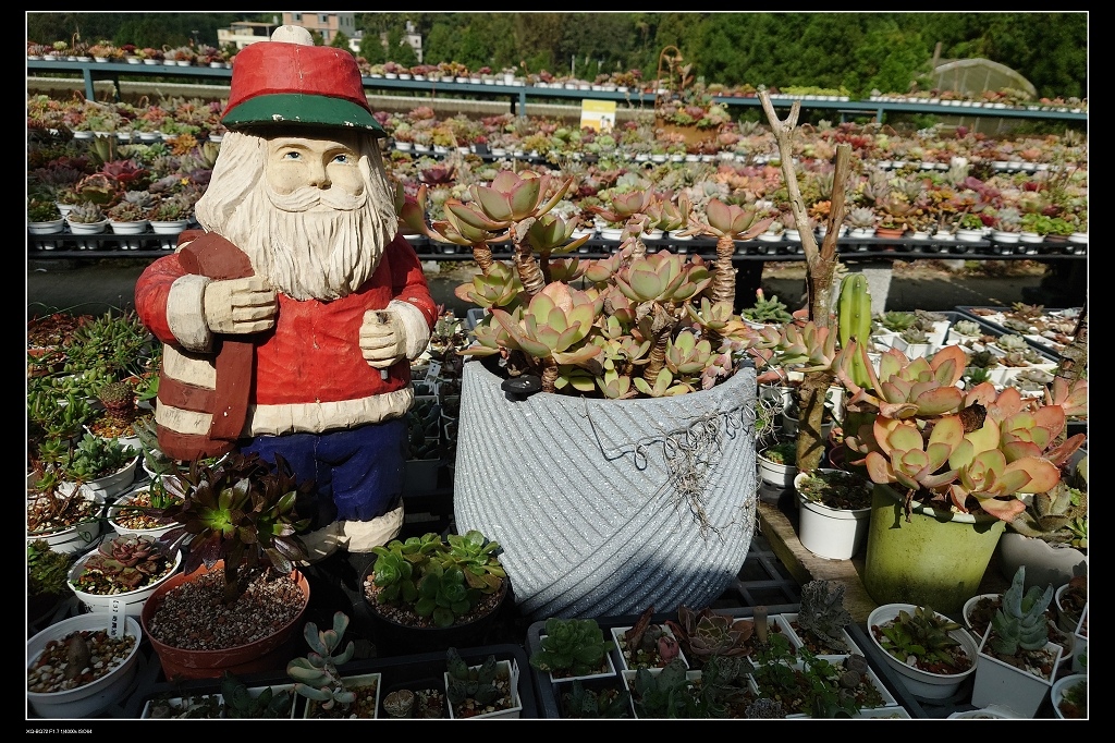 22人偶.jpg 22人偶.jpg