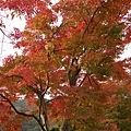 銀閣寺2.jpg