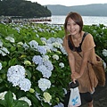 湖邊的繡球花