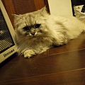 照片20110207 049.jpg