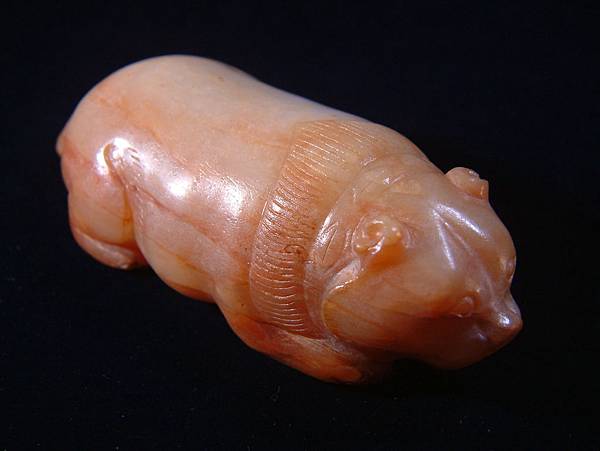 唐白玉肥貓 (4).JPG 唐白玉肥貓 (4).JPG