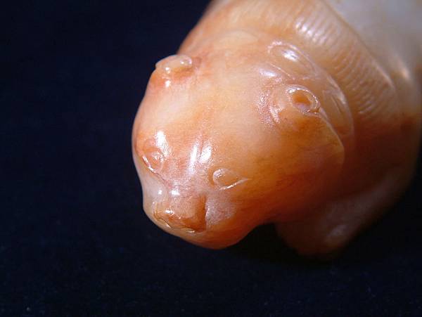 唐白玉肥貓 (2).JPG