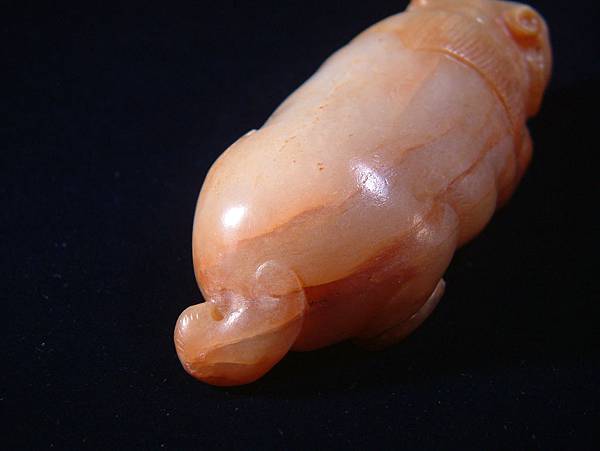 唐白玉肥貓 (5).JPG