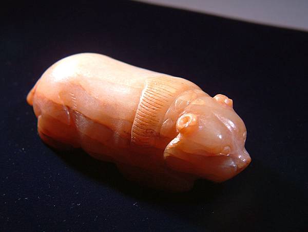 唐白玉肥貓 (8).JPG 唐白玉肥貓 (8).JPG