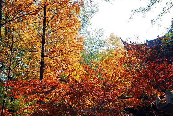 08棲霞山 (3-1).jpg 08棲霞山 (3-1).jpg