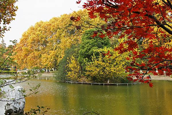 11紅梅公園 (1-1).jpg 11紅梅公園 (1-1).jpg