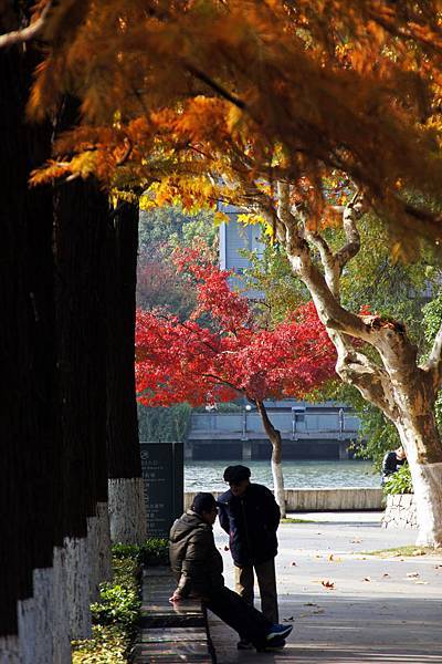 11紅梅公園 (5-1).jpg 11紅梅公園 (5-1).jpg