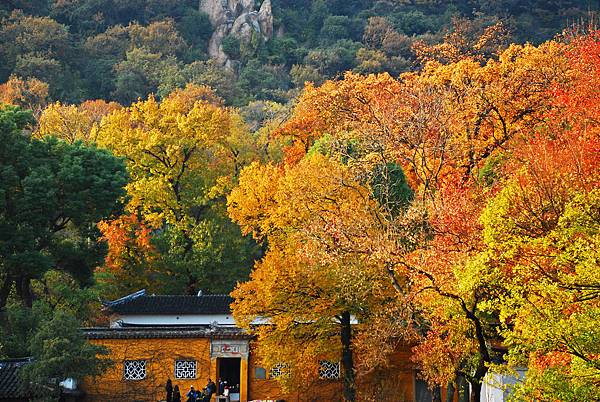 12天平山 (3-1).jpg 12天平山 (3-1).jpg