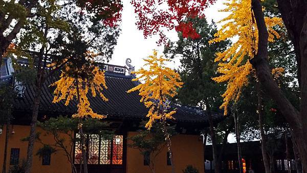 13寒山寺 (6-1).jpg 13寒山寺 (6-1).jpg