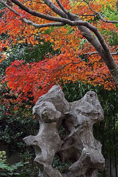 17藕園 (7-1).jpg 17藕園 (7-1).jpg