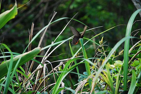 DSC_0044.JPG DSC_0044.JPG