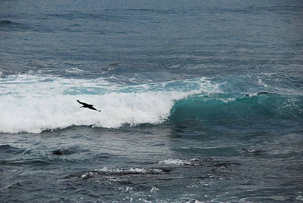 DSC_0208.JPG DSC_0208.JPG