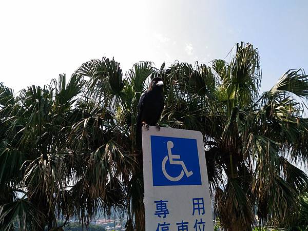 P_20180314_094554.jpg P_20180314_094554.jpg