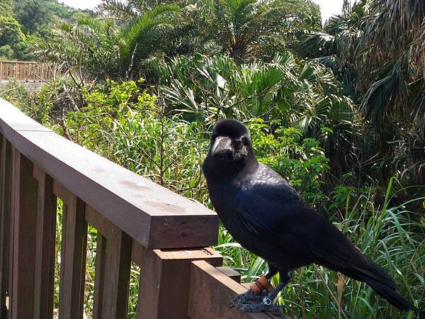 P_20180314_112256.jpg P_20180314_112256.jpg