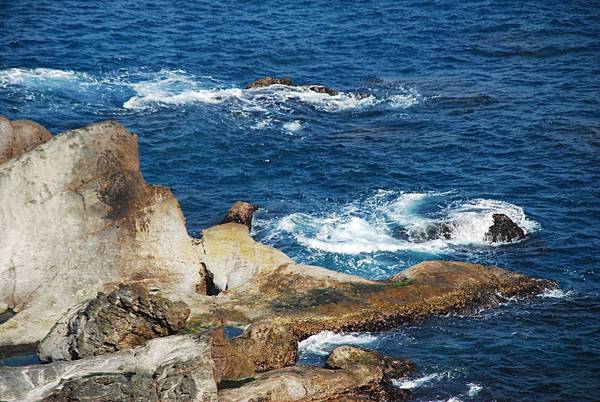 DSC_0018.JPG DSC_0018.JPG