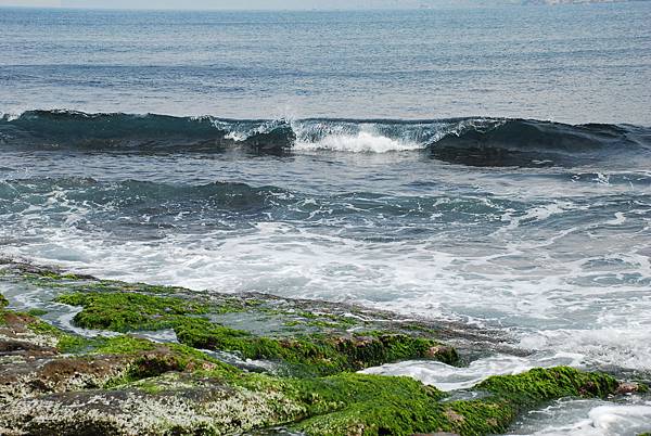 DSC_0171.JPG DSC_0171.JPG