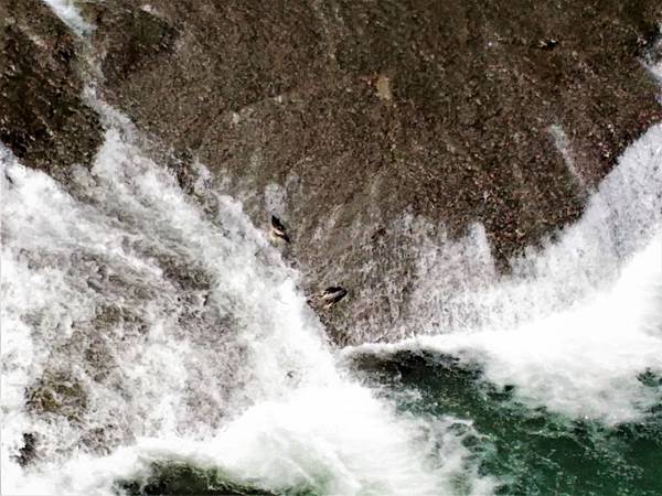 P_20180713_093325.jpg P_20180713_093325.jpg