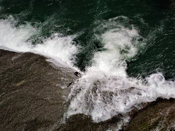 P_20180713_093700.jpg P_20180713_093700.jpg